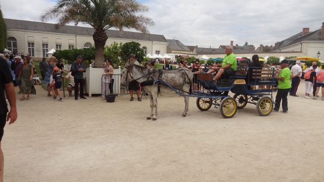 2026 fete ane (23).jpg